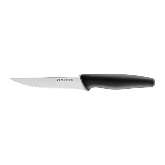 Ambition Aspiro steak kés 11.5 cm