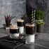 Pasabahce Timeless pohár szett 295 ml 4 darabos