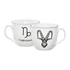 Ambition Zodiac bögre 520 ml bak
